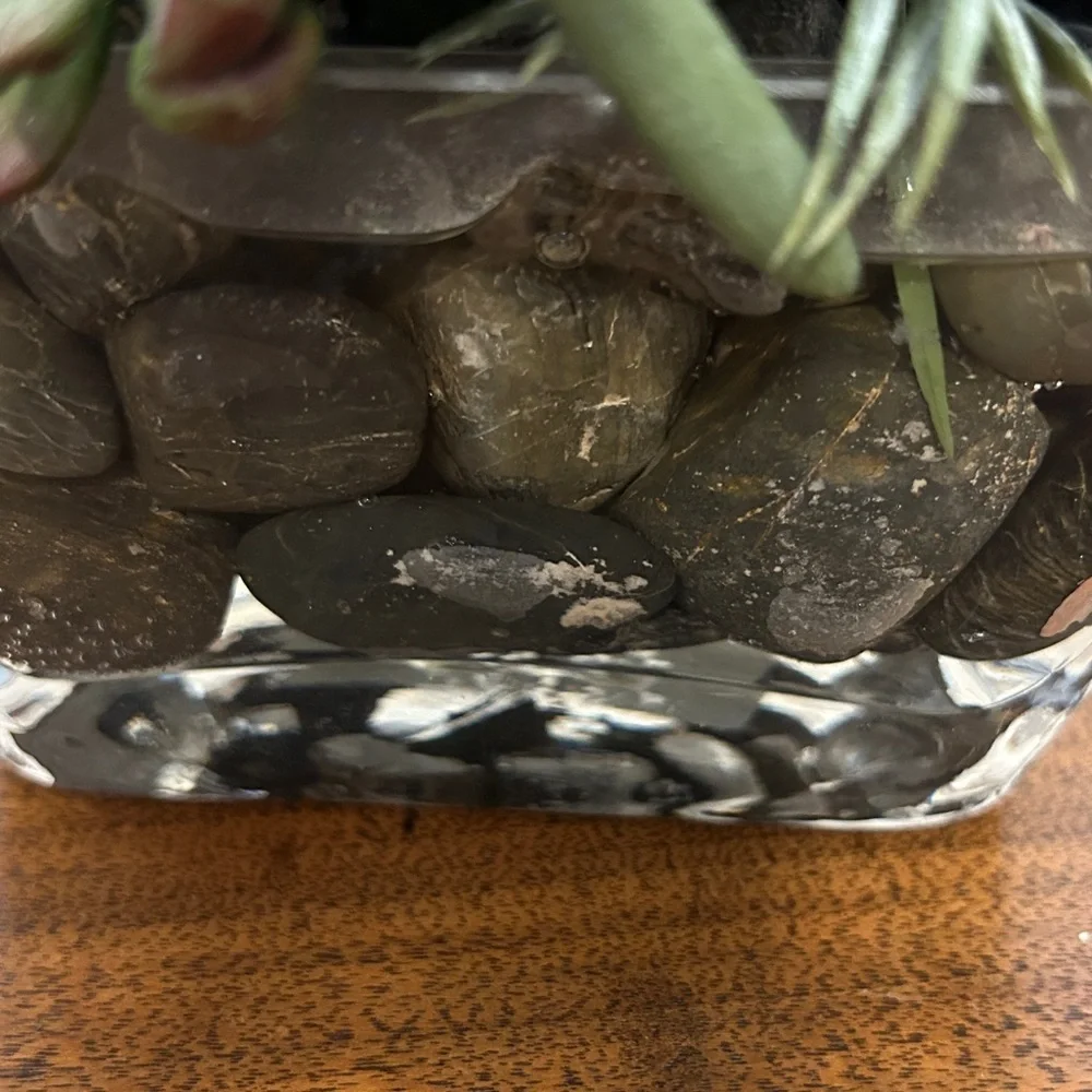 Artificial Green Succulent Arrangement